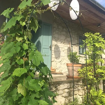 Hungry Grape Guests * Erdőbénye